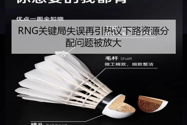 RNG关键局失误再引热议下路资源分配问题被放大