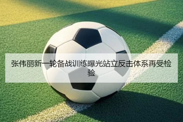 张伟丽新一轮备战训练曝光站立反击体系再受检验